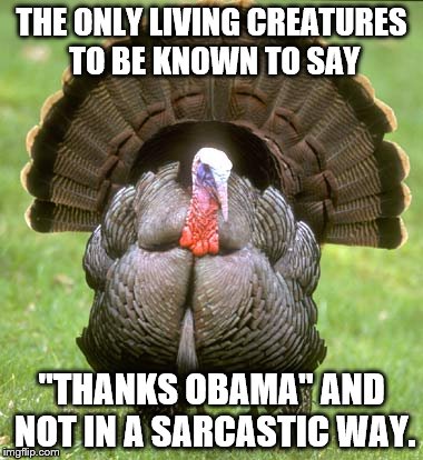 Turkey | THE ONLY LIVING CREATURES TO BE KNOWN TO SAY; "THANKS OBAMA" AND NOT IN A SARCASTIC WAY. | image tagged in memes,turkey | made w/ Imgflip meme maker