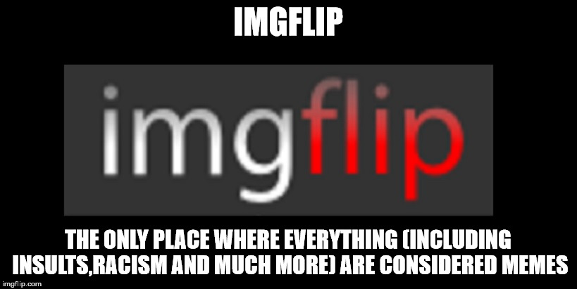 imgflip | IMGFLIP; THE ONLY PLACE WHERE EVERYTHING (INCLUDING INSULTS,RACISM AND MUCH MORE) ARE CONSIDERED MEMES | image tagged in imgflip,funny,memes,site,image,flip | made w/ Imgflip meme maker
