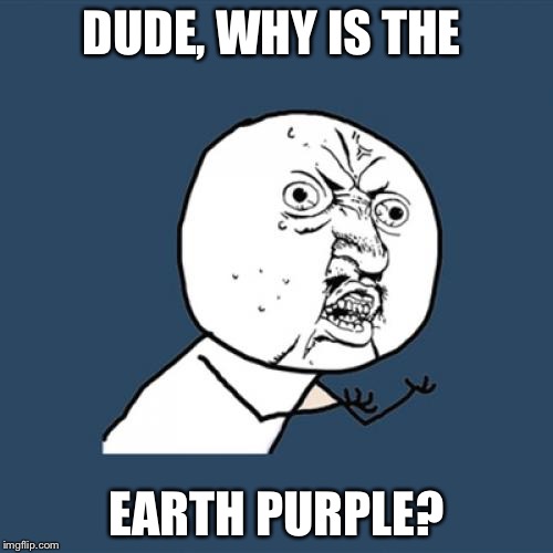 Y U No | DUDE, WHY IS THE; EARTH PURPLE? | image tagged in memes,y u no | made w/ Imgflip meme maker
