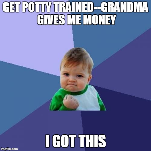 Success Kid Meme | GET POTTY TRAINED--GRANDMA GIVES ME MONEY; I GOT THIS | image tagged in memes,success kid | made w/ Imgflip meme maker