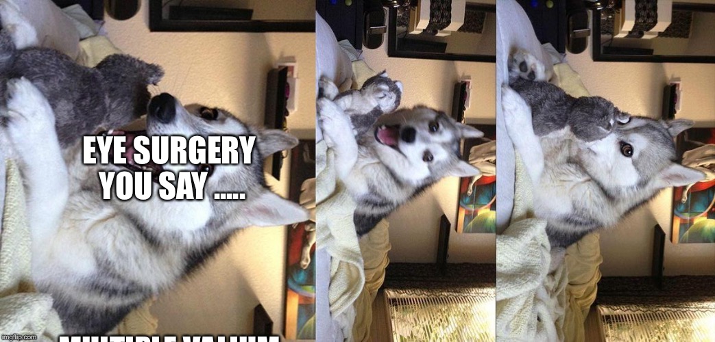 Bad Pun Dog | EYE SURGERY YOU SAY ..... MULTIPLE VALIUM TABLETS YOU SAY ...., ASKS FOR LOLLIPOPS AND BEER DURING SURGERY AND THEN INSULTS THE NURSES CHRISTMAS TREE IN POST-OP !!! | image tagged in memes,bad pun dog | made w/ Imgflip meme maker