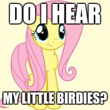 interested fluttershy | DO I HEAR MY LITTLE BIRDIES? | image tagged in interested fluttershy | made w/ Imgflip meme maker
