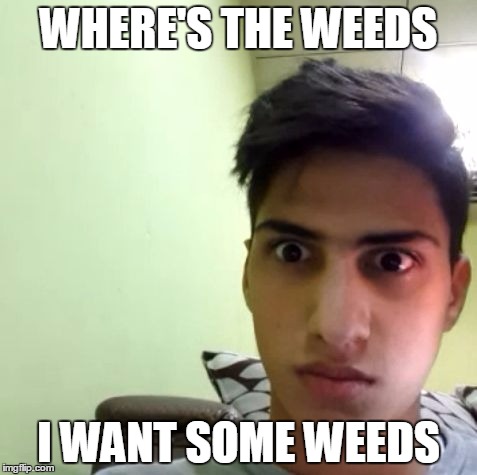 fucking addict | WHERE'S THE WEEDS; I WANT SOME WEEDS | image tagged in fucking addict | made w/ Imgflip meme maker