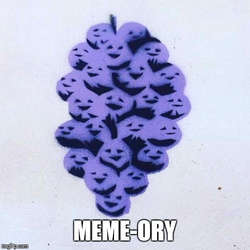 Member Berries | MEME-ORY | image tagged in member berries | made w/ Imgflip meme maker