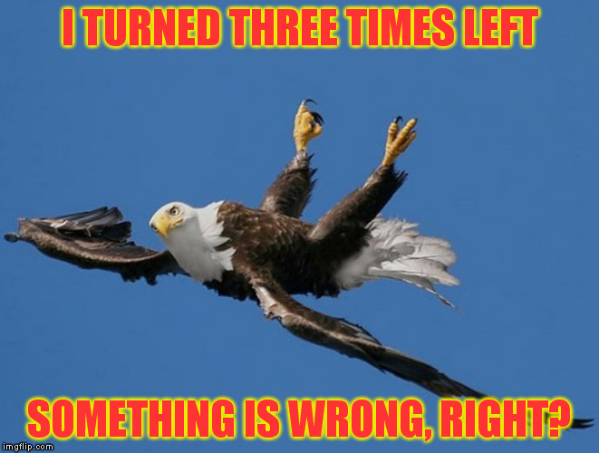 Even the National Bird has enough | I TURNED THREE TIMES LEFT SOMETHING IS WRONG, RIGHT? | image tagged in even the national bird has enough | made w/ Imgflip meme maker