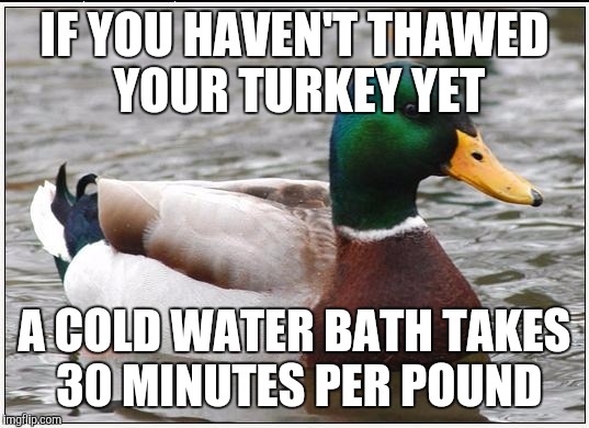 Actual Advice Mallard Meme | IF YOU HAVEN'T THAWED YOUR TURKEY YET; A COLD WATER BATH TAKES 30 MINUTES PER POUND | image tagged in memes,actual advice mallard | made w/ Imgflip meme maker