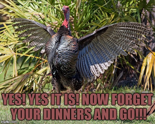 YES! YES IT IS! NOW FORGET YOUR DINNERS AND GO!!! | made w/ Imgflip meme maker