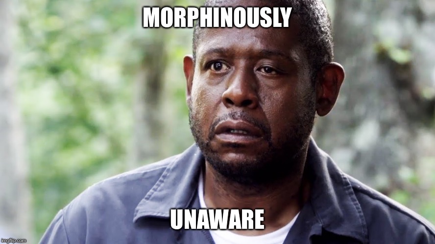 Forest Whitaker Eye | MORPHINOUSLY; UNAWARE | image tagged in forest whitaker eye | made w/ Imgflip meme maker
