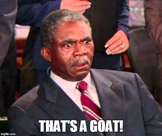 thats a penis | THAT'S A GOAT! | image tagged in thats a penis | made w/ Imgflip meme maker