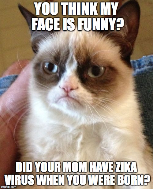 Grumpy cat Zika Virus  | YOU THINK MY FACE IS FUNNY? DID YOUR MOM HAVE ZIKA VIRUS WHEN YOU WERE BORN? | image tagged in memes,grumpy cat | made w/ Imgflip meme maker