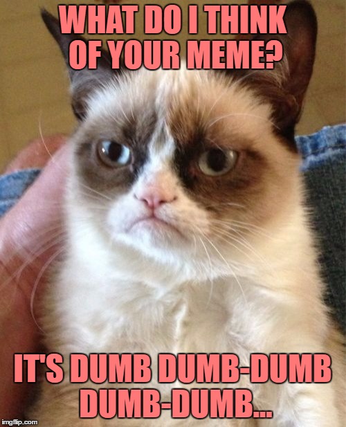 Grumpy Cat Meme | WHAT DO I THINK OF YOUR MEME? IT'S DUMB DUMB-DUMB DUMB-DUMB... | image tagged in memes,grumpy cat | made w/ Imgflip meme maker