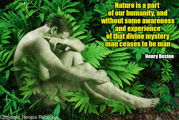 Nature is a part of our humanity, and without some awareness and experience of that divine mystery man ceases to be man; Henry Beston | image tagged in nature | made w/ Imgflip meme maker