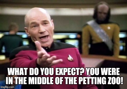 Picard Wtf Meme | WHAT DO YOU EXPECT? YOU WERE IN THE MIDDLE OF THE PETTING ZOO! | image tagged in memes,picard wtf | made w/ Imgflip meme maker