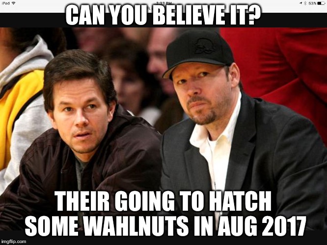 CAN YOU BELIEVE IT? THEIR GOING TO HATCH SOME WAHLNUTS IN AUG 2017 | image tagged in pregnancy announcement | made w/ Imgflip meme maker