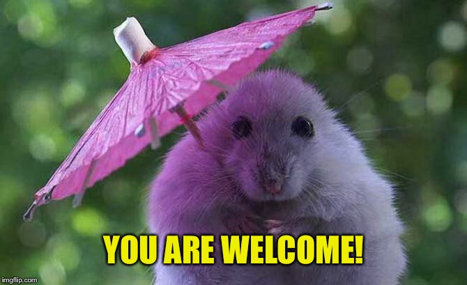 YOU ARE WELCOME! | made w/ Imgflip meme maker