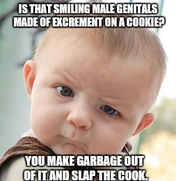 Skeptical Baby Meme | IS THAT SMILING MALE GENITALS MADE OF EXCREMENT ON A COOKIE? YOU MAKE GARBAGE OUT OF IT AND SLAP THE COOK. | image tagged in memes,skeptical baby | made w/ Imgflip meme maker