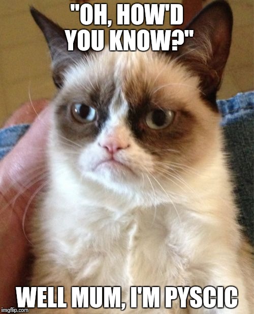 Grumpy Cat Meme | "OH, HOW'D YOU KNOW?"; WELL MUM, I'M PYSCIC | image tagged in memes,grumpy cat | made w/ Imgflip meme maker