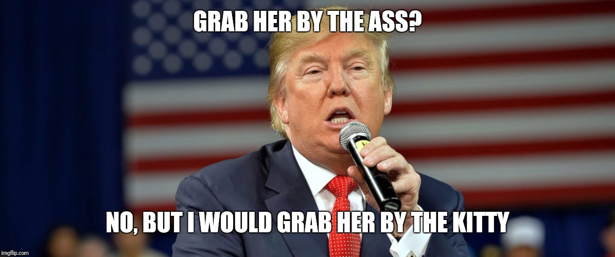 GRAB HER BY THE ASS? NO, BUT I WOULD GRAB HER BY THE KITTY | made w/ Imgflip meme maker