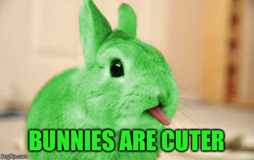 RayBunny | BUNNIES ARE CUTER | image tagged in raybunny | made w/ Imgflip meme maker