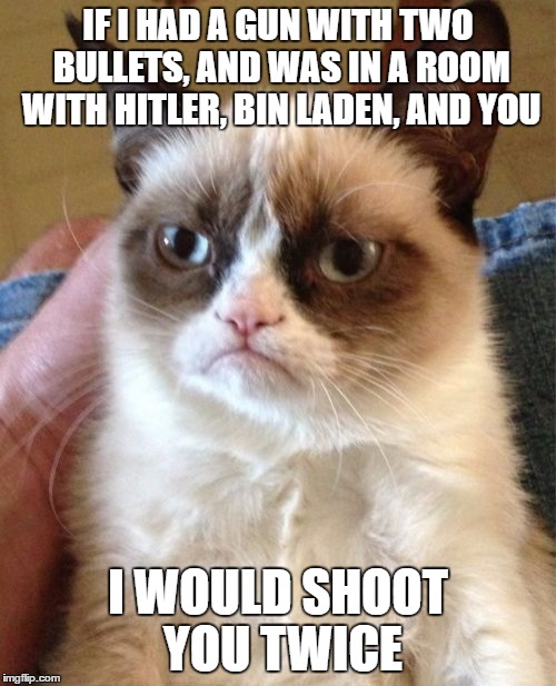 Grumpy Cat | IF I HAD A GUN WITH TWO BULLETS, AND WAS IN A ROOM WITH HITLER, BIN LADEN, AND YOU; I WOULD SHOOT YOU TWICE | image tagged in memes,grumpy cat | made w/ Imgflip meme maker