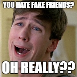 OH REALLY | YOU HATE FAKE FRIENDS? OH REALLY?? | image tagged in oh really | made w/ Imgflip meme maker