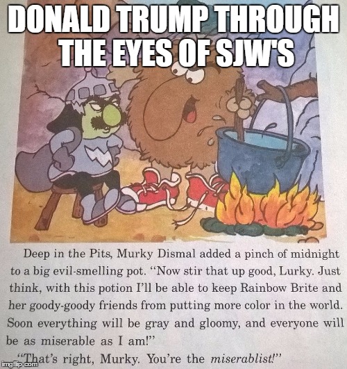 DONALD TRUMP THROUGH THE EYES OF SJW'S | image tagged in donald trump,sjw,liberals,college liberal,feminist,angry feminist | made w/ Imgflip meme maker