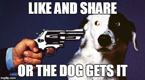 LIKE AND SHARE; OR THE DOG GETS IT | image tagged in sarcasm,like and share | made w/ Imgflip meme maker