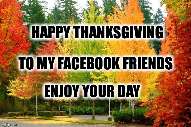 Fall Leaves | HAPPY THANKSGIVING; TO MY FACEBOOK FRIENDS; ENJOY YOUR DAY | image tagged in fall leaves | made w/ Imgflip meme maker