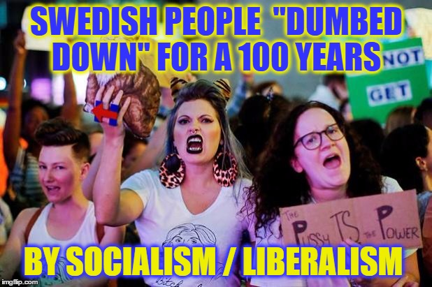 SWEDISH PEOPLE  "DUMBED DOWN" FOR A 100 YEARS BY SOCIALISM / LIBERALISM | made w/ Imgflip meme maker