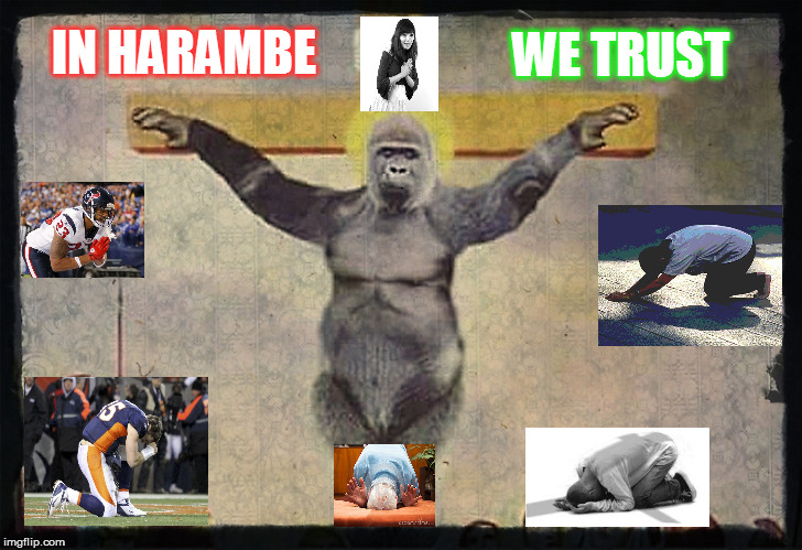 Harambe Cross Jessu | WE TRUST; IN HARAMBE | image tagged in harambe cross jessu | made w/ Imgflip meme maker