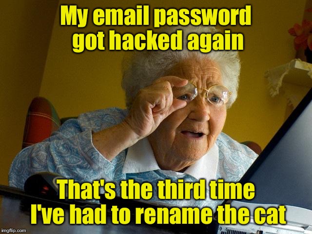 Grandma Finds The Internet Meme | My email password got hacked again; That's the third time I've had to rename the cat | image tagged in memes,grandma finds the internet | made w/ Imgflip meme maker