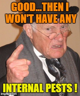 Back In My Day Meme | GOOD...THEN I WON'T HAVE ANY INTERNAL PESTS ! | image tagged in memes,back in my day | made w/ Imgflip meme maker