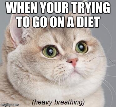 Heavy Breathing Cat | WHEN YOUR TRYING TO GO ON A DIET | image tagged in memes,heavy breathing cat | made w/ Imgflip meme maker