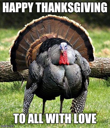 Thanksgiving Day | HAPPY THANKSGIVING; TO ALL WITH LOVE | image tagged in thanksgiving day | made w/ Imgflip meme maker