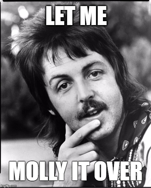 LET ME; MOLLY IT OVER | image tagged in mullet | made w/ Imgflip meme maker