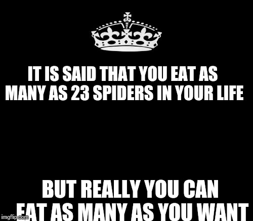 IT IS SAID THAT YOU EAT AS MANY AS 23 SPIDERS IN YOUR LIFE BUT REALLY YOU CAN EAT AS MANY AS YOU WANT | made w/ Imgflip meme maker