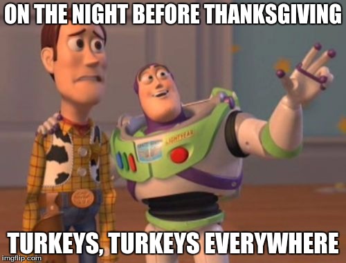 Turkeys everywhere before thanksgiving | ON THE NIGHT BEFORE THANKSGIVING; TURKEYS, TURKEYS EVERYWHERE | image tagged in memes,x x everywhere,thanksgiving,funny | made w/ Imgflip meme maker