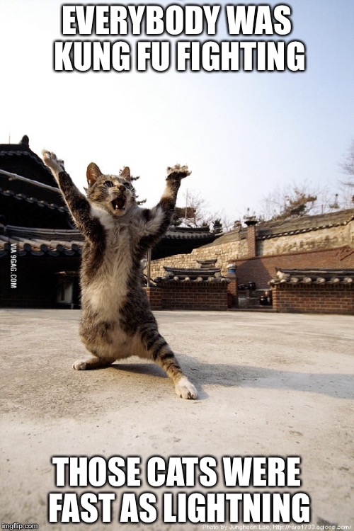 Do Not Underestimate Meme Kung FU | EVERYBODY WAS KUNG FU FIGHTING; THOSE CATS WERE FAST AS LIGHTNING | image tagged in do not underestimate meme kung fu | made w/ Imgflip meme maker