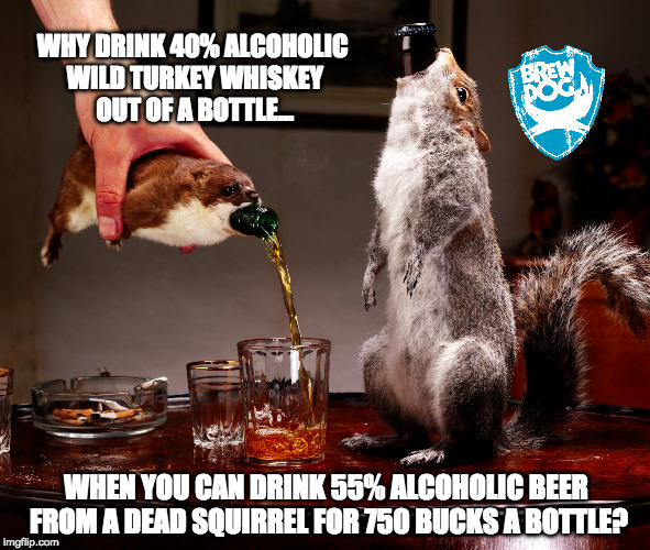 You can't make this shit up | WHY DRINK 40% ALCOHOLIC WILD TURKEY WHISKEY OUT OF A BOTTLE... WHEN YOU CAN DRINK 55% ALCOHOLIC BEER FROM A DEAD SQUIRREL FOR 750 BUCKS A BOTTLE? | image tagged in squirrel,beer,weird,weird stuff | made w/ Imgflip meme maker
