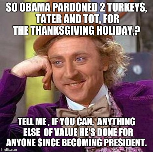 Creepy Condescending Wonka Meme | SO OBAMA PARDONED 2 TURKEYS, TATER AND TOT, FOR THE THANKSGIVING HOLIDAY,? TELL ME , IF YOU CAN,  ANYTHING  ELSE  OF VALUE HE'S DONE FOR ANYONE SINCE BECOMING PRESIDENT. | image tagged in memes,creepy condescending wonka | made w/ Imgflip meme maker