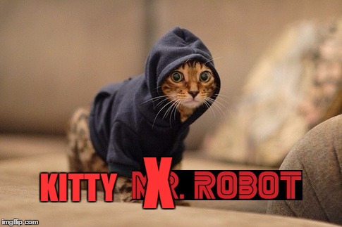 Hoody Cat | X; KITTY | image tagged in memes,hoody cat | made w/ Imgflip meme maker
