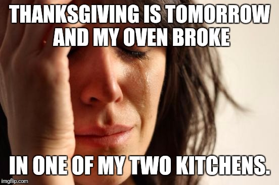 First World Problems Meme | THANKSGIVING IS TOMORROW AND MY OVEN BROKE; IN ONE OF MY TWO KITCHENS. | image tagged in memes,first world problems | made w/ Imgflip meme maker