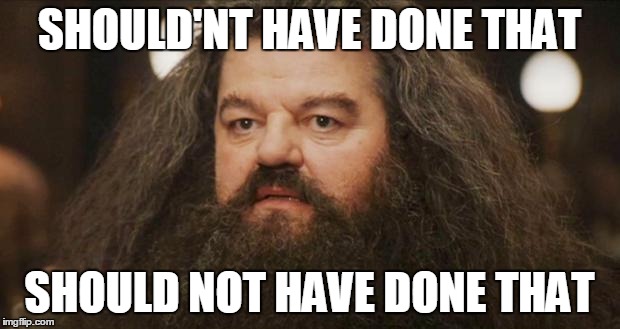 Hagrid | SHOULD'NT HAVE DONE THAT; SHOULD NOT HAVE DONE THAT | image tagged in hagrid | made w/ Imgflip meme maker