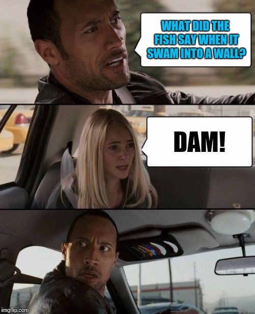 The Rock Driving Meme | WHAT DID THE FISH SAY WHEN IT SWAM INTO A WALL? DAM! | image tagged in memes,the rock driving | made w/ Imgflip meme maker