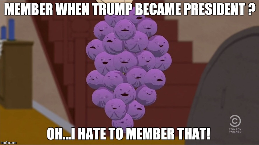 Member Berries Meme | MEMBER WHEN TRUMP BECAME PRESIDENT ? OH...I HATE TO MEMBER THAT! | image tagged in memes,member berries | made w/ Imgflip meme maker