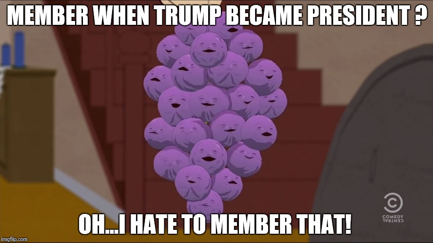 Member Berries | MEMBER WHEN TRUMP BECAME PRESIDENT ? OH...I HATE TO MEMBER THAT! | image tagged in memes,member berries | made w/ Imgflip meme maker