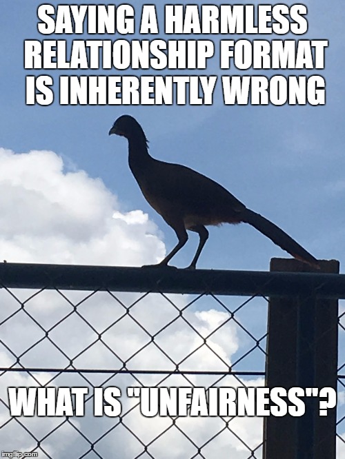 "what is" bird | SAYING A HARMLESS RELATIONSHIP FORMAT IS INHERENTLY WRONG; WHAT IS "UNFAIRNESS"? | image tagged in what is bird | made w/ Imgflip meme maker