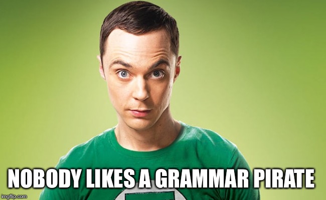 Sheldon - Really | NOBODY LIKES A GRAMMAR PIRATE | image tagged in sheldon - really | made w/ Imgflip meme maker