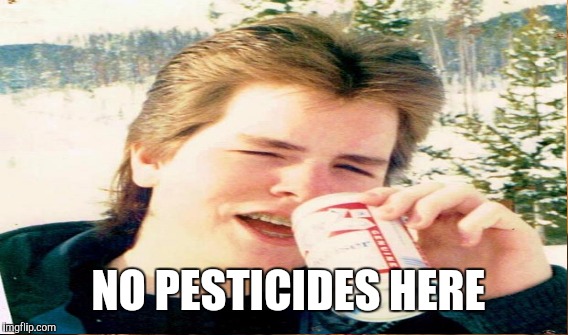 NO PESTICIDES HERE | made w/ Imgflip meme maker