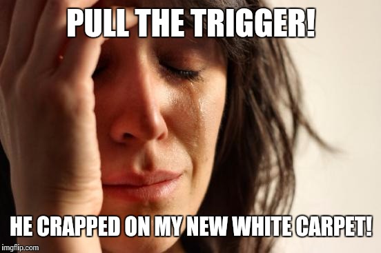 First World Problems Meme | PULL THE TRIGGER! HE CRAPPED ON MY NEW WHITE CARPET! | image tagged in memes,first world problems | made w/ Imgflip meme maker